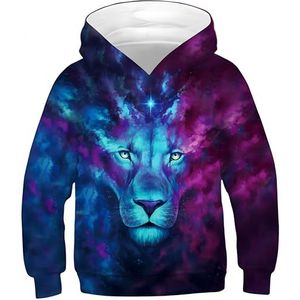 Ocean Plus Jungen Kapuzenpullover Bunt Teens Hoodie Kinder Langarm Pulli mit Kapuzen Sweatshirt Pullover (S (Körpergröße: 125-130cm), Kleurrijke leeuw)