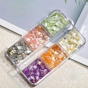 Onregelmatige Abalone Schelp Nail Art Flakes 12 Grids/doos Natuurlijke Zeeschelp Plakjes Nagelbedels 3D Glanzende Schelp Pailletten Manicure Flakes-14