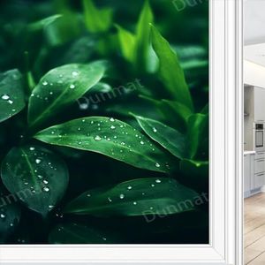 Groen blad venster privacyfolie mooie plant rustiek veldzicht gebrandschilderd glas raamfolie zon blokkerende warmteregulatie decoratieve raambekleding folie voor thuiskantoor 70 x 100 cm