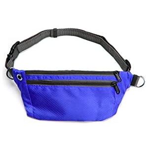 Huisdier Aangelijnd Jogging Training Wandelen Intrekbare bungee hondenriem voor grote honden Accessoires Hondenriem (Size : Single Blue Bag)