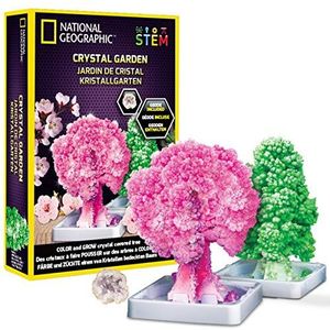 Bandai - National Geographic - Ontdekkingsset - 2 kristalbomen om te kweken - Wetenschappelijk en educatief spel - STEM - JM002766