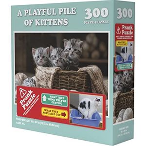 Wilder Games Een speelse stapel kittens prankpuzzel - 300 stuk puzzel voor volwassenen, veelkleurig, (WILD-161)
