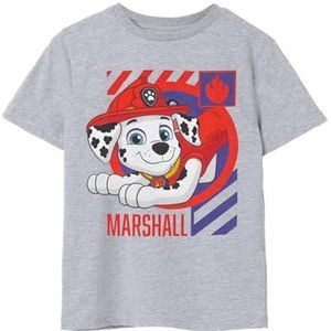 Paw Patrol jongens grijs T-shirt | Marshall-personageontwerp | Authentieke Paw Patrol-merchandise | Comfortabel en stijlvol T-shirt voor jongens die op zoek zijn naar avontuur