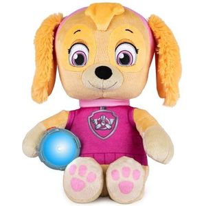 PAW Patrol 6054736 Snuggle Up Skye Kussen met zaklamp