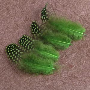 20 Stuks Natuurlijke Gekleurde Parelhoenveren Fazant Pluimen Sieraden Handwerk Accessoires Veer Decoratieve Decor-Groen