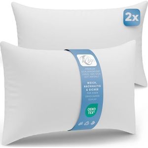 Moon Set van 2 vulkussens 40x60 cm - binnenkussen, sofakussen 440g - Classic Peached Touch