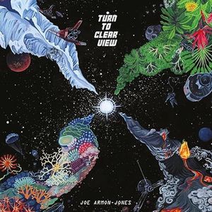 TURN TO CLEAR VIEW - 期間限定ペシャ・盤 - [解説書付 / ナ収録 / 国内盤] (BRC610Z)