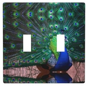 ZhaoYuGoods Mooie pauw print muurplaat, dubbele tuimellichtschakelaar outlet cover 2-Gang 11,4 cm x 11,4 cm, PC decoratieve voorplaat voor thuis en kantoor
