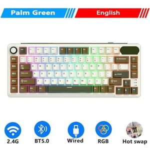 QPSJXN Aanpasbaar mechanisch toetsenbord met RGB-achtergrondverlichting Tri-Mode RGB en vijf voor gamers (Engels Palm Green)