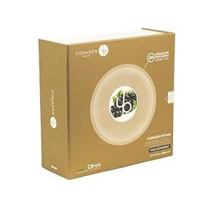 COllAGEN UP | Goud - Rode Druif Smaak Elixir | 5000 mg Gehydrolyseerd Collageen, Co-enzym Q10, Hyaluronzuur en Vitaminen | Voor Huidverjonging en Algemeen Welzijn | 30 Glazen Flesjes