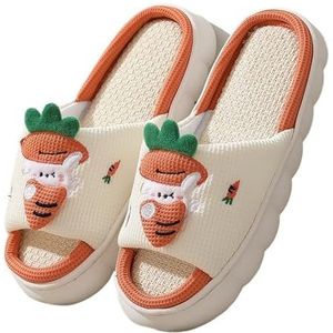 LHSJYG Damespantoffels, schattige dierenpantoffel, voor vrouwen, meisjes, modieus, pluizig, winter, warme pantoffels voor vrouwen, huispantoffels, grappige schoenen, C, 32-33(20.5CM)