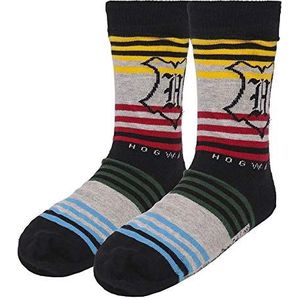 CERDÁ LIFE'S LITTLE MOMENTS Harry Potter sokken - officieel gelicentieerd product van Warner Bros, Meerkleurig, 35-41 EU