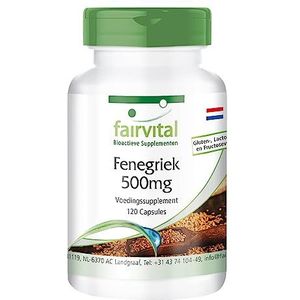 Fairvital | Fenegriek extract 500 mg - 120 veganistische capsules - 50% saponinen - op kwaliteit getest en hoog gedoseerd - Made in Germany | fairvital