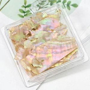 Natuurlijke Abalone Zeeschelp Steen Nail Art Decoratie Aurora 3D Onregelmatige Slice Fragmenten Vlokken Voor Nagel Nagels Charms-PT189-06
