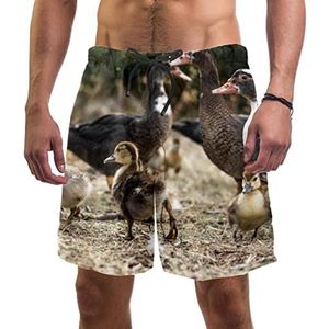 Heren Zwembroek Sneldrogende Zwembroek met Mesh Voering Badmode Badpakken Groep Jonge Eenden, Meerkleurig, eén maat XL