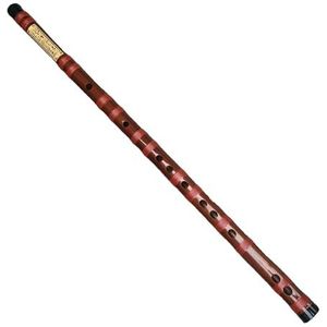 bamboe fluit Een Hele Sectie Voor Beginners Om Het Bamboefluitinstrument Te Oefenen (Color : F)