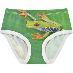 YOUJUNER Meisjes Ondergoed 3D Dier Thema Kikker Peuter Knickers Katoenen Broek Kleine Meisjes Slips Comfort Kids Onderbroek, Meerkleurig, 2 jaar