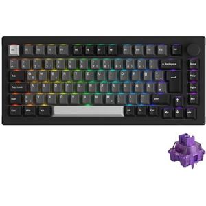 Akko 5075B Plus Draadloos Toetsenbord, 3-Modi, 75% ISO-Lay-out, Gaming-Toetsenbord, Hot-Swappable, RGB, Cherry-PBT-Toetsen met Afdichting, Win/Mac (zwart-zilver, V3-lila)