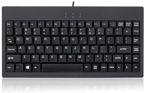 Adesso AKB-110B toetsenbord USB + PS/2 QWERTY zwart - toetsenborden (bekabeld, USB + PS/2, QWERTY, zwart)