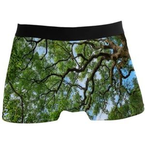 GISPOG Green Tree Sky Boxers Slips voor heren, ondersteuning voor mannen, stretch, lage taille, boxershorts, korte boxershorts, 1 kleur, XL