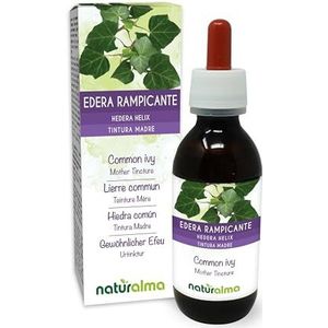 Klimop (Hedera helix) bladeren Alcoholvrije moedertinctuur Naturalma - Vloeibaar extract druppels 120 ml - Voedingssupplement - Veganistisch