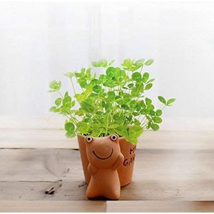 Novità bella casa animale di figura di terracotta bonsai in vaso piante in vaso in ceramica per la decorazione desktop creativo SEMI regalo di natale SOLO
