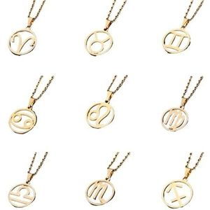 Roestvrij stalen sterrenbeeld ketting 12 sterrenbeeld hanger ketting dames heren universele ketting cadeau (Style : Libra silver)