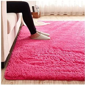 Tapijt Shaggy Plush Area Rug White Fluffy Rug Carpets for Living Room Decor Faux Fur Anti Skid zacht tapijt for de slaapkamer Grijs Tapijt Woonkamer (Color : 11, Size : 200x300cm)