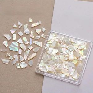 Nail Art Aurora Schelpvlokken Abalone Nagels Bedels 3D Onregelmatige Plak Schelp Steen Pailletten Nail Art Decoratie Manicure Accessoire-01