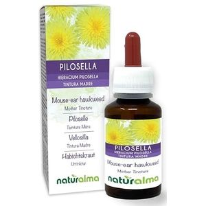 Muizenoor (Hieracium pilosella) kruid Alcoholvrije moedertinctuur Naturalma - Vloeibaar extract druppels 60 ml - Voedingssupplement - Veganistisch
