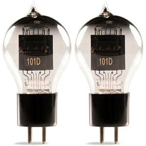 DIY 101D vacuüm ventiel audio versterker kit (2 stuks)