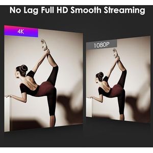 VIZOLINK W12S Webcam 4K 30FPS met microfoon, afstandsbediening, Ultra HD Sony-sensor, vaste focus, 4x zoom, 85° gezichtsveld, ruisonderdrukking, lichtcorrectie, privacy, voor conferenties, streaming