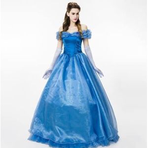 wellstil Light Blue Assepoesterkostuum voor dames, klassiek prinses, avondjurk, jurk, Halloween, kostuum, volwassenen, sneeuwwitje jurk (lichtblauw, XL)