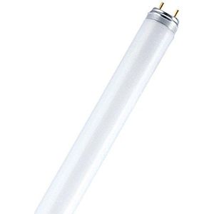 TL-lamp L 30 Watt 67 blauw - Osram 30W