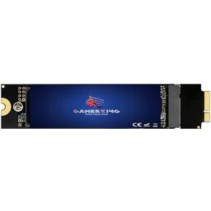 GAMERKING 1 TB SSD upgrade voor 2010-2011 Apple MacBook Air A1369 (EMC 2392/2469), A1370 (EMC 2393/2471), hoogwaardige vervangende solid-state drive (Mac OS voorgeïnstalleerd)