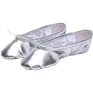 Balletschoenen, Platte canvas balletschoenen, Balletoefeningschoenen met zachte zool, Gymnastiekschoenen for dames, Balletoefening (Color : Silver, Size : 40)