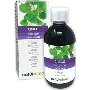 Ginkgo of Japanse notenboom (Ginkgo biloba) bladeren Alcoholvrije moedertinctuur Naturalma - Vloeibaar extract druppels 500 ml - Voedingssupplement - Veganistisch