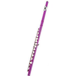 Fluit Roze fluit nikkel sleutel 16 gesloten gat C en E fluitinstrument professioneel met doos
