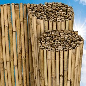Sol Royal Privacyscherm Bamboe 80x250 cm (HxB) SolVision B38 – Duurzaam & Weerbestendig 100% FSC® Bamboe Balkonscherm Tuinscherm Wind- & Zonbescherming voor Terras Tuin