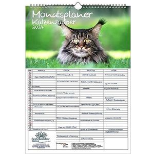 Kattenzauber Wandplanner, familieplanner, 4 kolomplanner, A3-kalender voor 2024, katten en kattenbaby's, inhoud: 1 x kalender, 1 x kerst- en 1 x wenskaart (in totaal 3 delen)