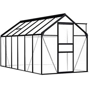 Tidyard Broeikas tunnelkas tuinhuis tuin broeikas plantenhuis tomatenkas broeibed antraciet aluminium 7,03 m²