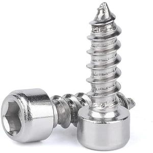 Ooghaakbout, Bouten Schroeven, 10 stuks/partij M2 .5 M3 M5 M6 Zeskant Inbuskop Zelftappende Schroef(45mm X10pcs,M5)