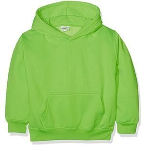 AWDis Jongens Kids Elektrische Hoodie