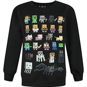 Minecraft Boys Jumper Kids Sprites Creeper Pig zwarte sweatshirt trui 7-8 jaar