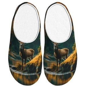 Pantoffels voor dikke voeten - Schoenen