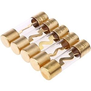 SYSCZPWC 5 Stks Verguld Glas AGU Zekeringen Pack Auto Audio Versterker Versterker 60/80/100 AMP (80 Amp)