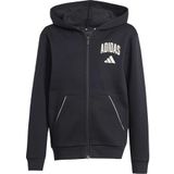 adidas Unisex niños SEASONALS COLLEGIATE TYPOGRAPHY HOODY, black/off white, 15-16 Years
