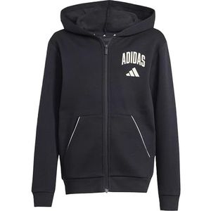 adidas Unisex niños SEASONALS COLLEGIATE TYPOGRAPHY HOODY, black/off white, 15-16 Years