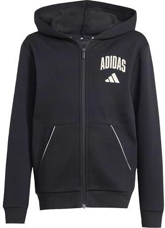 adidas Unisex niños SEASONALS COLLEGIATE TYPOGRAPHY HOODY, black/off white, 15-16 Years