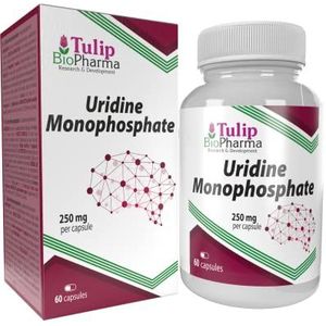 Uridine Monofosfaat 250mg 60 Capsules Nootropische Choline Enhancer, Ondersteunt Cholinerge Hersenen & Geheugenfunctie
